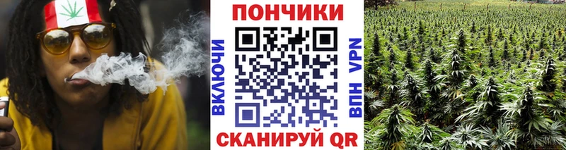 кракен зеркало  как найти наркотики  Староминская  Шишки марихуана Ganja 